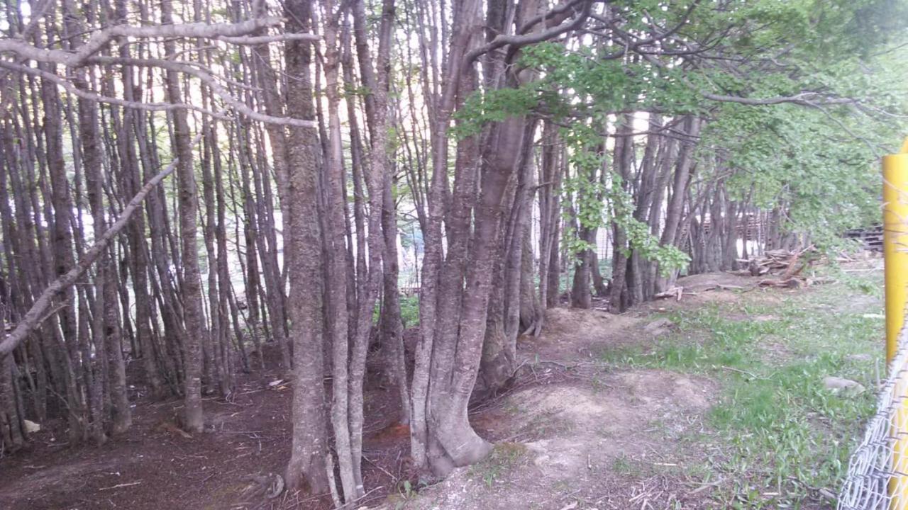 Camping La Encantada Ushuaia Bagian luar foto
